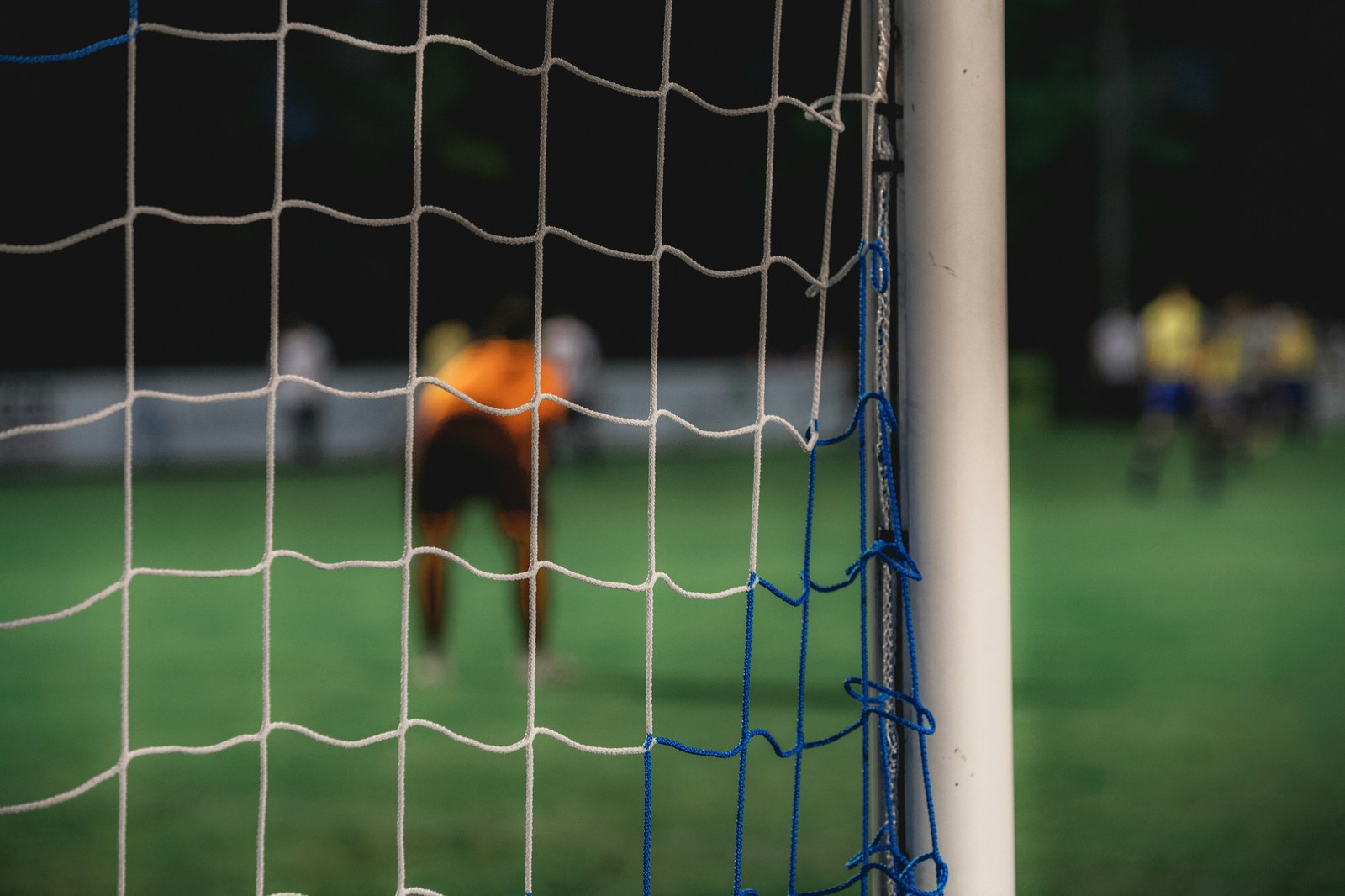 多端浏览配图(与客户端栏目内容一致)